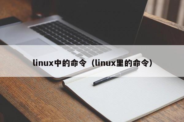 linux中的命令（linux里的命令）-图1