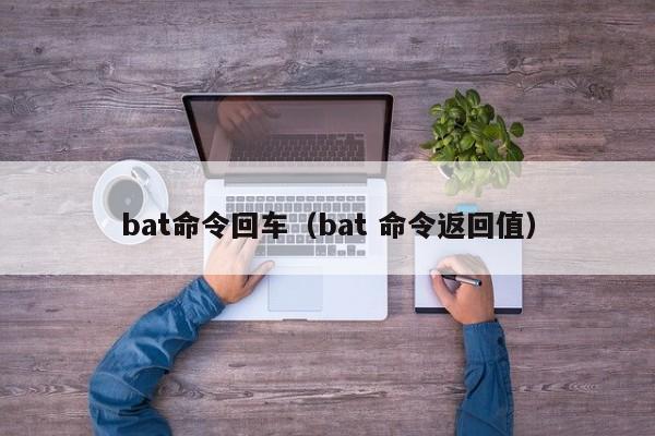bat命令回车（bat 命令返回值）-图1