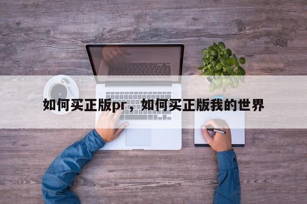 如何买正版pr，如何买正版我的世界-图1