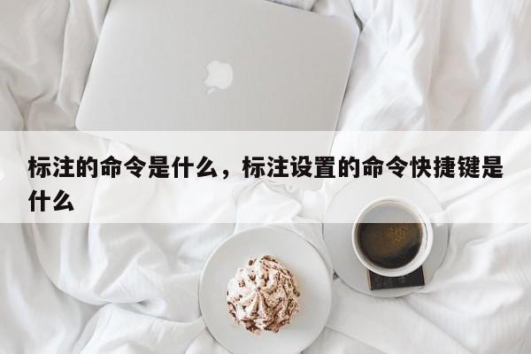 标注的命令是什么,标注设置的命令快捷键是什么-图1 标注的命令是什么,标注设置的命令快捷键是什么-图1